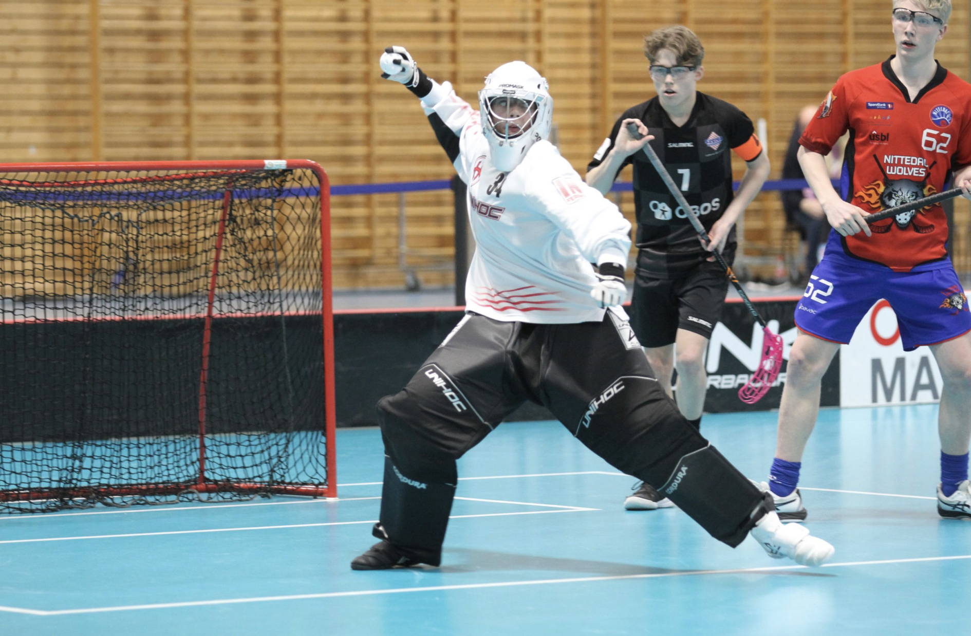 Innebandy bilde2